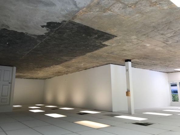 Suite 1